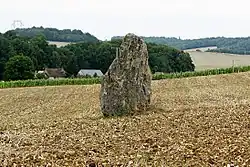 Image illustrative de l’article Menhir des Rivaux