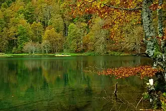 Image illustrative de l’article Lac de Bethmale