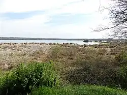 L'étang des Landes vu depuis l'affût du Genévrier.