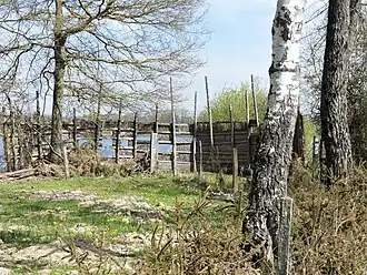 L'affût des Hérons.