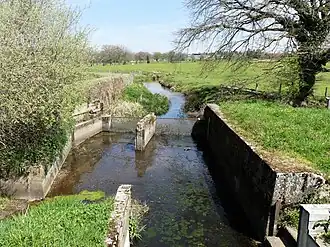 Le ruisseau des Landes, exutoire de l'étang.