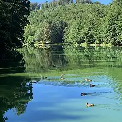 Étang du Donnenbach.