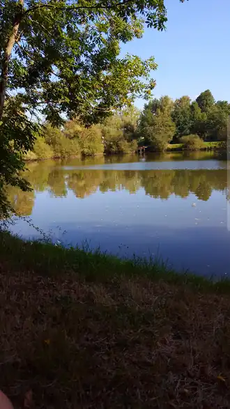 Image illustrative de l’article Étang du Chambon