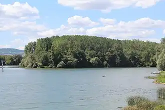 Image illustrative de l’article Île de Montmerle