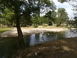 Île allongée sur l'Indre, à proximité du château de l'Islette, avec une petite population d'oies.