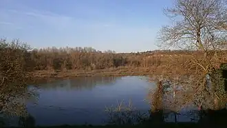 Image illustrative de l’article Île aux Vaches (Loire)