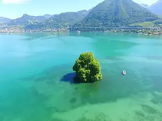 Vue de l'île de Peilz et du sud de la Riviera vaudoise.