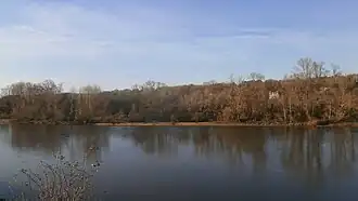 L'île des Buteaux depuis la rive gauche de la Loire.