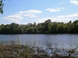 Vue générale de l'île (rive nord de la Vienne).