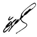 Signature de Özgür Özel