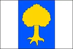 Drapeau de Černovice