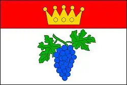 Drapeau de Čučice