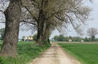 Świerczyn (Mazovie)