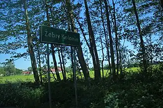 Żebry Kolonia