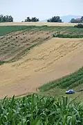 Žabari - panorama