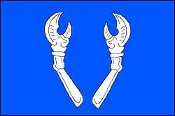 Drapeau de Železné