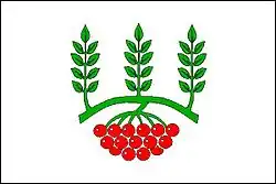 Drapeau de Žeraviny