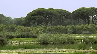 Image illustrative de l’article Lac de Lámia