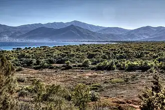 Lac de Stómi asséché, forêt et Pentélique en arrière-plan.