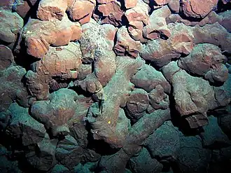 Basalte en pillow-lavas dans la caldeira sommitale du volcan.