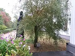 arbre classé,