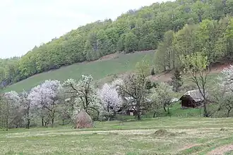 La zone de Khomynske, classée.