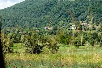Rakitnitsa (Demir Hisar)