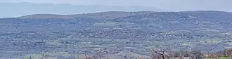 Tchelopek