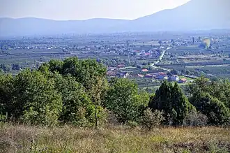 Volkoderi