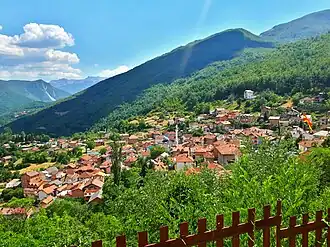 Rostoucha