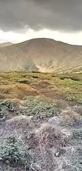 mont Pojejevska.