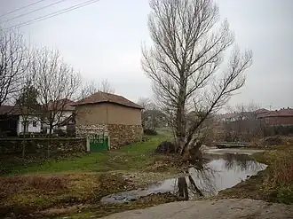 Gornje Konjuvce