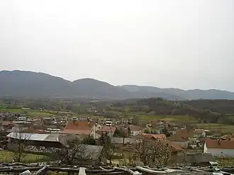 Dolni Lipoviḱ