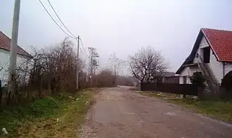 Kršna Glava