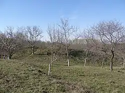 colline fortifiée, classée.