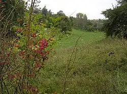 Oblast de Poltava, Ukraine, 2012