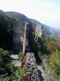 château de Nevitsky, classé,