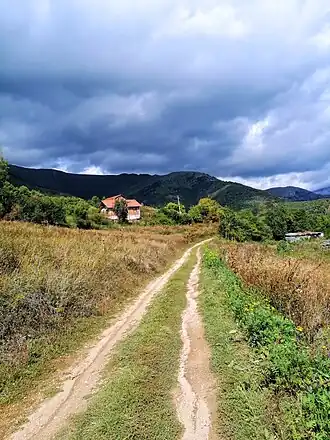 Prvtsé