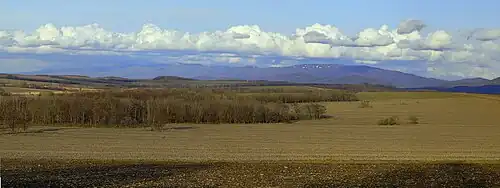 Champ dans le raïon.