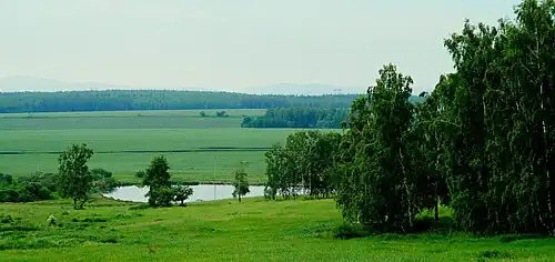 Champ dans le raïon de Iemelianovo.