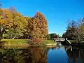 Un étang dans le parc