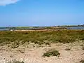 Paysage de l'île de Touzla.