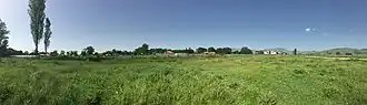 Alintsi (Mogila)