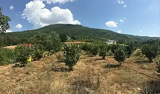 Chipokno