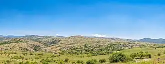 Zoviḱ