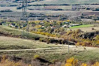 Zarepintsi