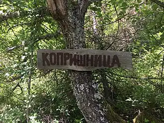 Koprichnitsa