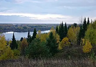 Raïon d'Oust-Vym