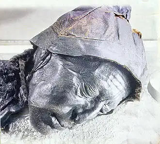 Autre vue du visage de l'Homme de Tollund