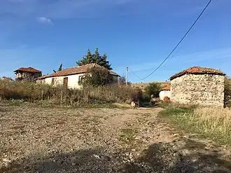 Patetino